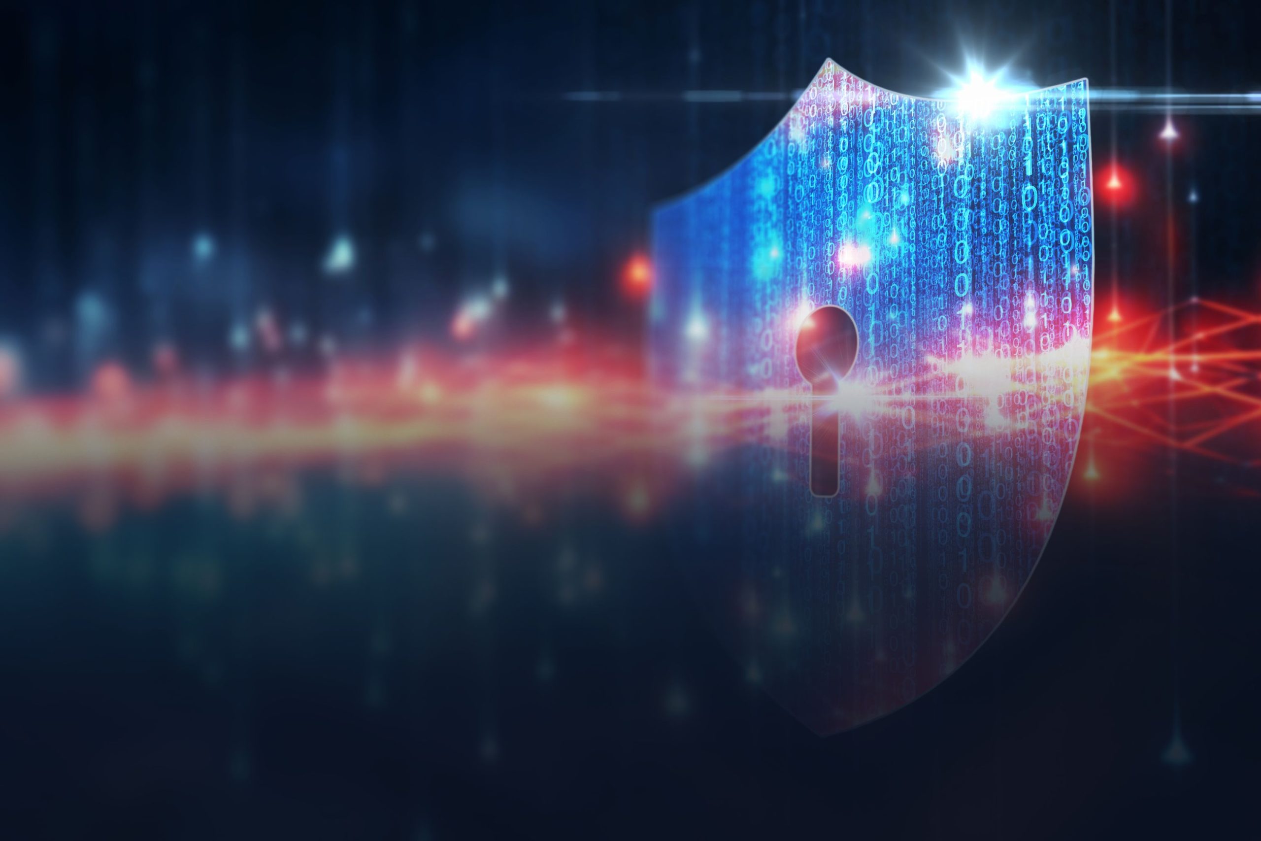 Shield illustration denoting Cybersecurity or Digital security