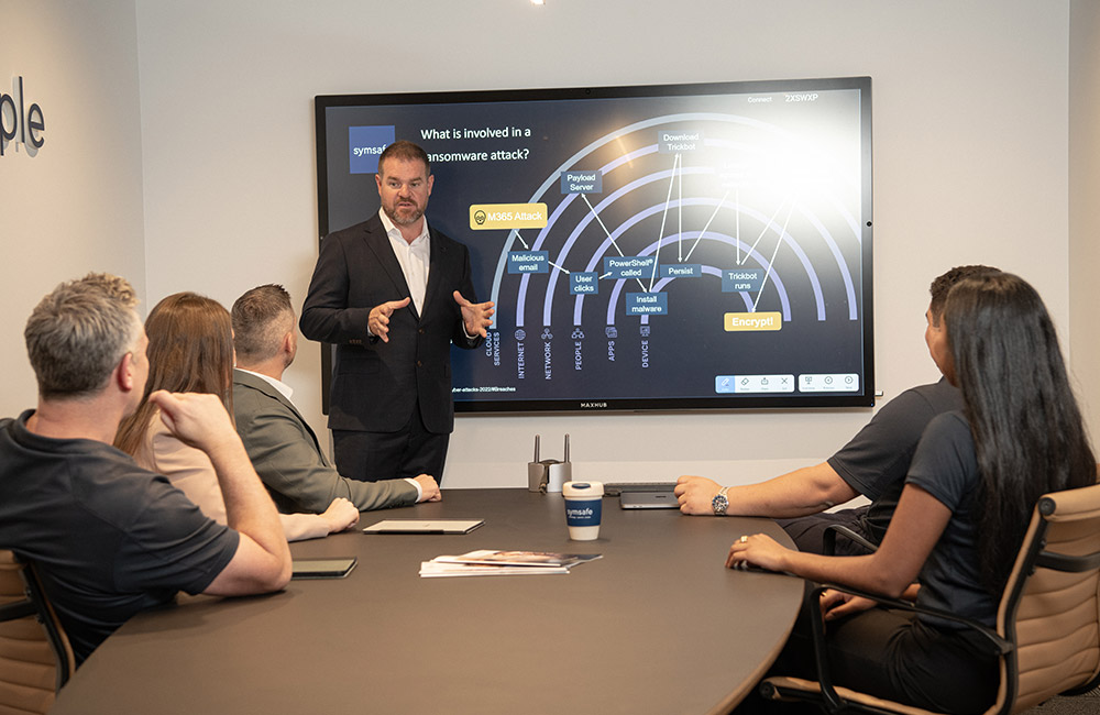Software development and systems integration work